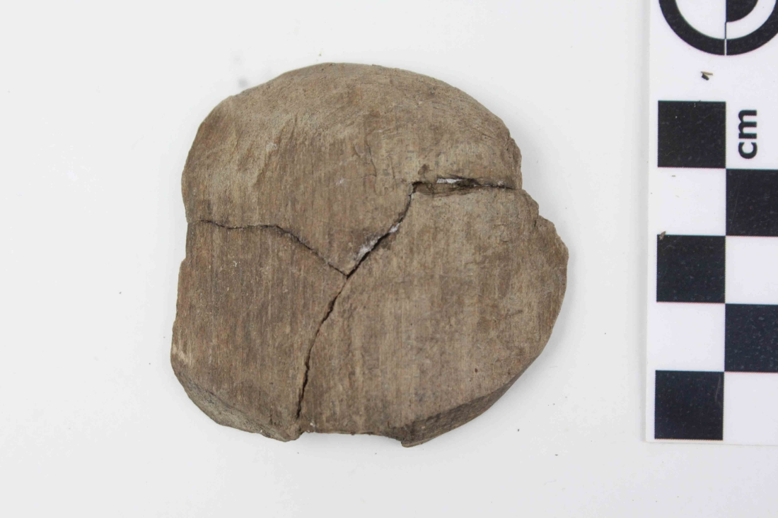 File ATD V166_1 (11).jpg